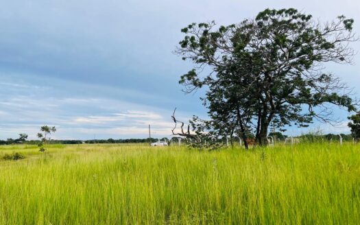 CHÁCARA A VENDA SENTIDO CAÇU